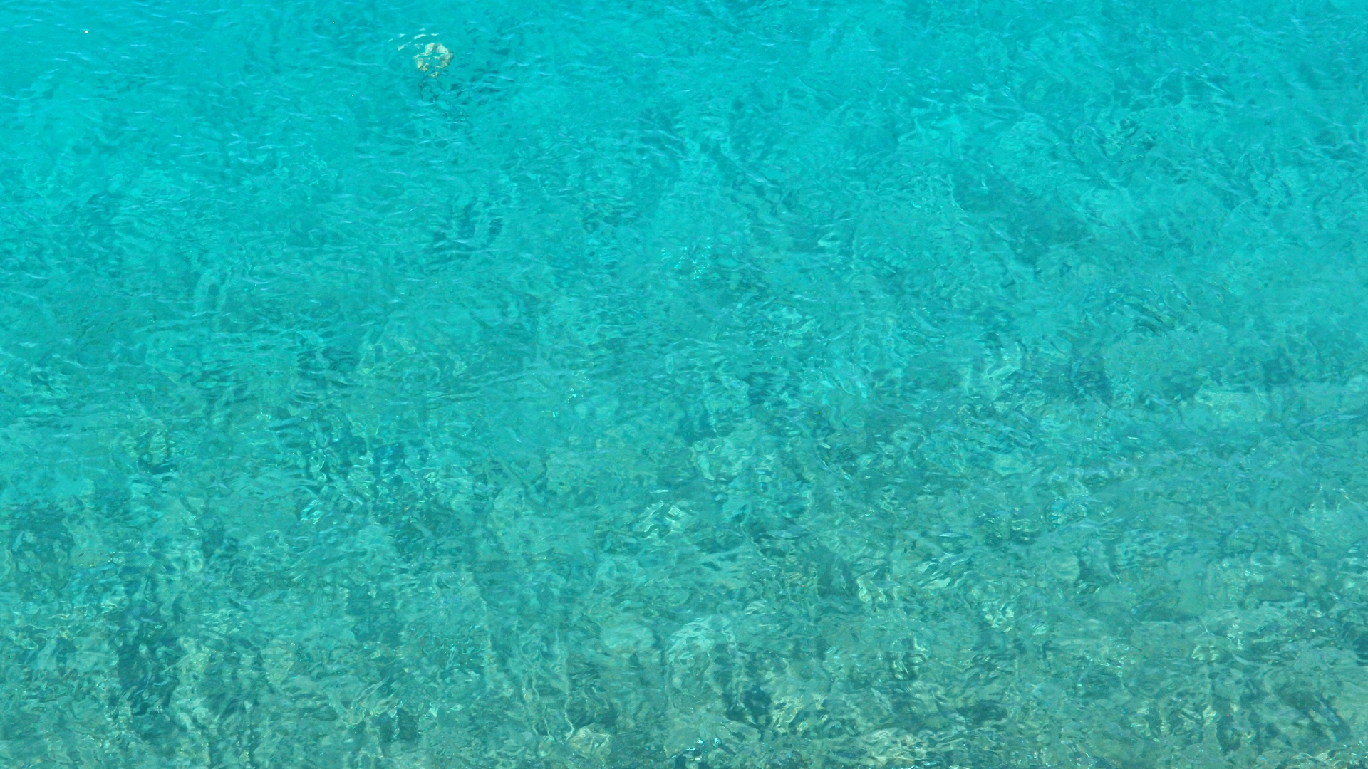 2022-10-22 09 Uhr 55 Wellen (Foto, Video)